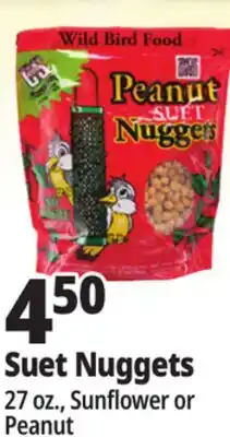 Ocean State Job Lot C&S Sunflower Suet Nuggets 27 oz offer