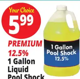 Ocean State Job Lot Liquid Pool Shock 1 Gal offer