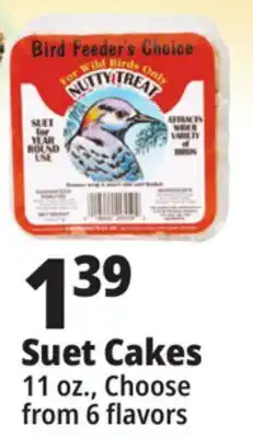Ocean State Job Lot Bird Feeder's Choice High Energy Suet 11 oz offer
