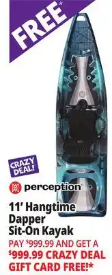 Ocean State Job Lot Perception Hangtime 11.0 Recreational Kayak Dapper offer