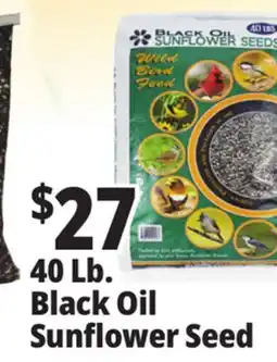 Ocean State Job Lot Black Oil Sunflower Seeds 40 lbs offer