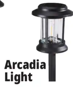 Ocean State Job Lot Arcadia Solar Light offer