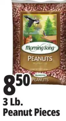 Ocean State Job Lot Audubon Peanut Pieces Bird Seed 3lb offer