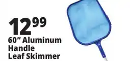 Ocean State Job Lot SwimWorks Leaf Skimmer with Aluminum Pole 60 offer