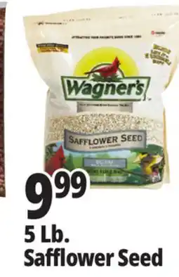 Ocean State Job Lot Wagner's Safflower Seed Deluxe Wild Bird Food offer