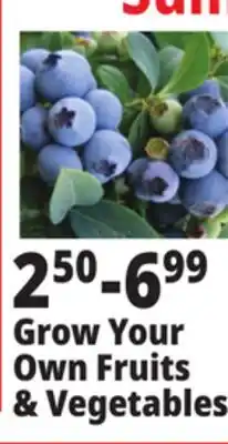 Ocean State Job Lot Grow Your Own Fruits & Vegetables offer
