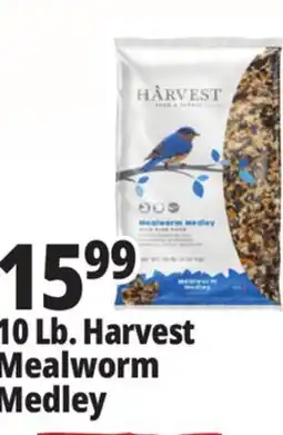 Ocean State Job Lot Harvest Seed & Supply Mealworm Medley Wild Bird Food 10 lb offer