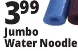Ocean State Job Lot 55 Jumbo Pool Noodle offer