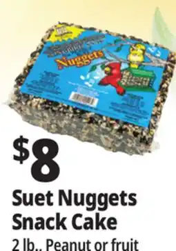 Ocean State Job Lot C&S EZ Fill Suet Cake or Snak Feeder offer