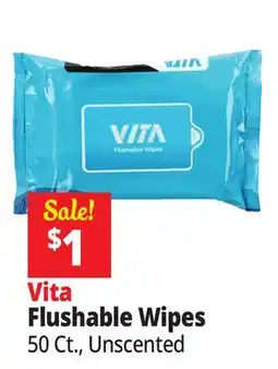 Ocean State Job Lot Vita Flushable Wipes offer