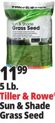 Ocean State Job Lot Tiller & Rowe Sun & Shade Grass Seed 5 lbs offer