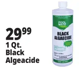 Ocean State Job Lot Pool Mate Black Algaecide 1 Qt offer