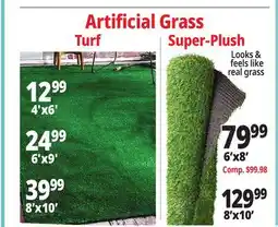 Ocean State Job Lot Artificial Grass offer