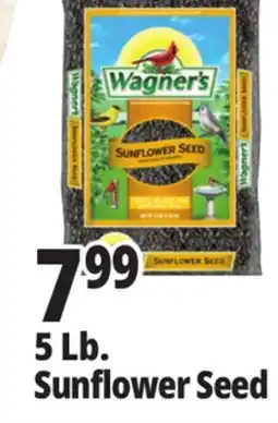 Ocean State Job Lot Wagner's Black Oil Sunflower Seed Wild Bird Food 5 lbs offer
