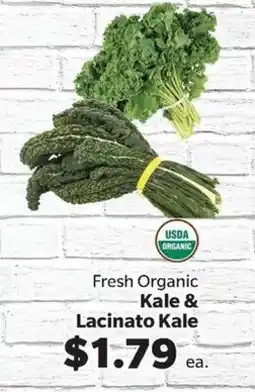 Living Fresh Market Fresh Organic Kale & Lacinato Kale offer