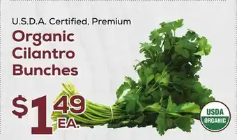 DeCicco & Sons Organic Cilantro Bunches offer