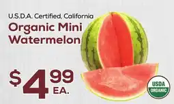 DeCicco & Sons Organic Mini Watermelon offer