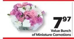 Weis Markets Value Bunch of Miniature Carnations offer