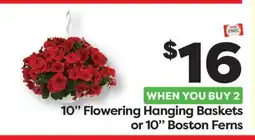 Weis Markets 10 Flowering Hanging Baskets or 10 Boston Ferns offer