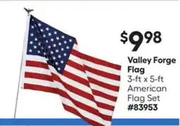 Lowe's Valley Forge Flag offer