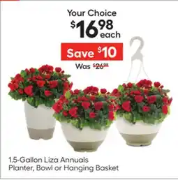 Lowe's 1.5-Gallon Liza Annuals Planter, Bowl or Hanging Basket offer