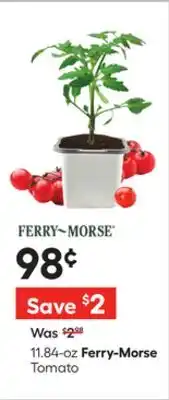 Lowe's Tomato offer