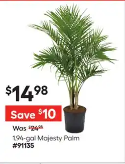 Lowe's 1.94-gal Majesty Palm offer