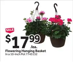 Stop&Shop Flowering Hanging Basket offer