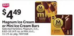 Stop&Shop Magnum Ice Cream or Mini Ice Cream Bars offer