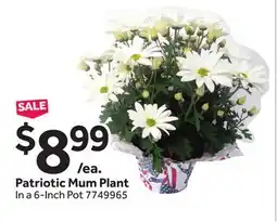 Stop&Shop Patriotic Mum Plant offer