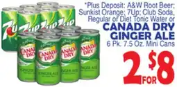 Bravo Supermarkets CANADA DRY GINGER ALE offer