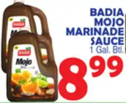 Bravo Supermarkets BADIA MOJO MARINADE SAUCE offer
