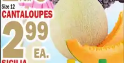 Bravo Supermarkets CANTALOUPES offer