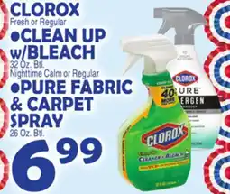Bravo Supermarkets CLOROX CLEAN UP w/ BLEACH PURE FABRIC & CARPET SPRAY offer