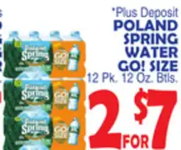 Bravo Supermarkets POLAND SPRING WATER GO! SIZE 12 Pk. 12 Oz. Btls offer