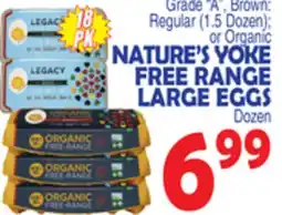 Bravo Supermarkets NATURE'S YOKE FREE RANGE LARGE EGGS offer