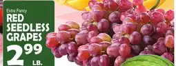 Bravo Supermarkets RED SEEDLESS GRAPES offer