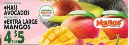 Bravo Supermarkets • HASS AVOCADOS • EXTRA LARGE MANGOES offer