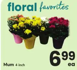 ACME Mum offer