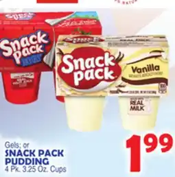 Bravo Supermarkets Gels SNACK PACK PUDDING offer