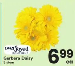 ACME Gerbera Daisy offer