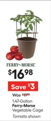 Lowe's Ferry-Morse Vegetable Cage offer