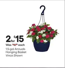 Lowe's Annuals Hanging Basket offer