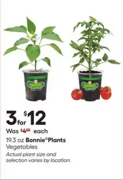 Lowe's Vegetables offer