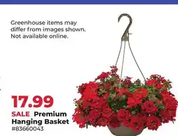 Runnings Premium Hanging Basket offer