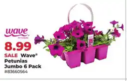 Runnings Wave Petunias Jumbo offer