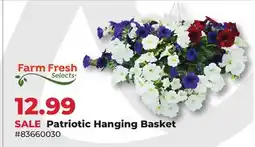 Runnings Farm Fresh Select Patriotic Hanging Basket offer
