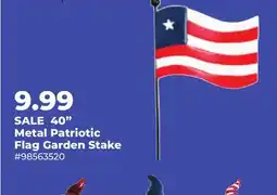 Runnings Alpine 40 Metal Patriotic Flag Garden Stake offer