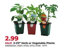 Runnings Farm Fresh Select 3-1/2 Herb or Vegetable Plants offer