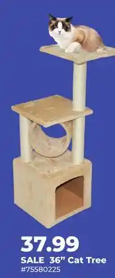 Runnings Main St. Pet 36 Cat Tree offer